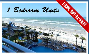 1 Bedroom Condo Rentals